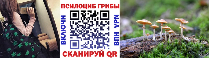 магазин продажи   Малмыж  Псилоцибиновые грибы мухоморы 